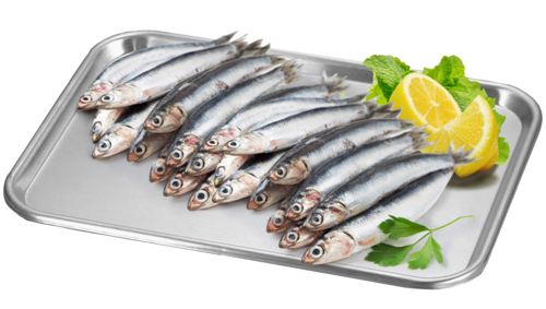 Hele Ansjovis 40/70 ca. 1kg