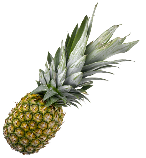 Ananas