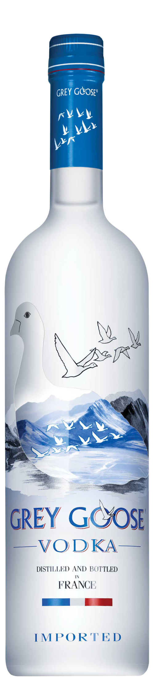 Grey Goose Premium Wodka - Boodschappen